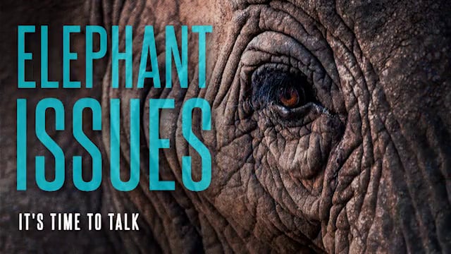 Elephant Issues – Session 1