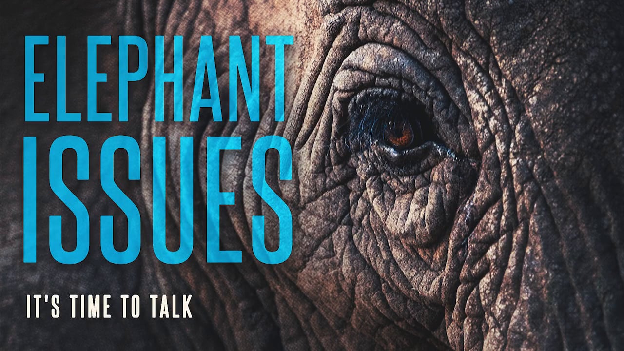 Elephant Issues – Trailer